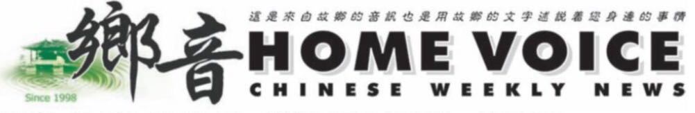 Q&A session with Home Voice